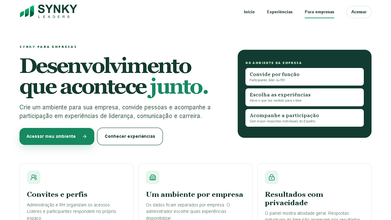 Página real para empresas do Synky Líderes